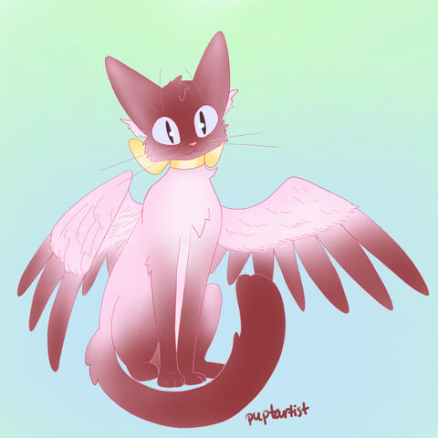 cat 2016-ish